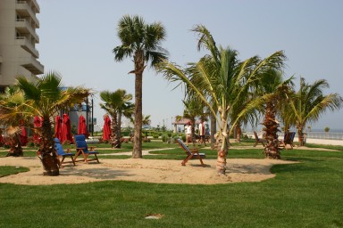 Tropical looking hotel landscaping on commercial property