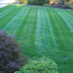 displaying results of T&J landscaping lawn mowing service