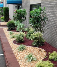 Commercial property displaying a natural stone wall and flowers and landscaping plants to compliment the walkway